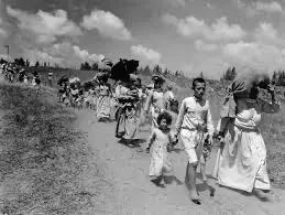 Historical photograph related to the Nakba